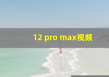 12 pro max视频